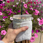 Quilted Coffee Koozie